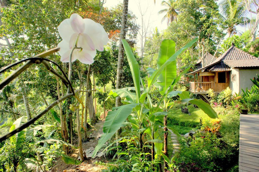 Prashanti Bali Ubud  Exterior photo